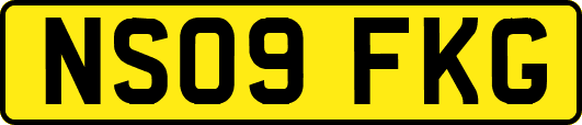NS09FKG