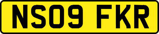 NS09FKR