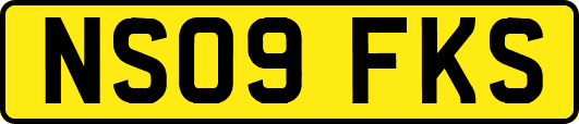 NS09FKS