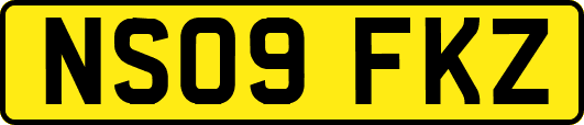 NS09FKZ