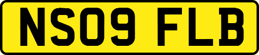 NS09FLB