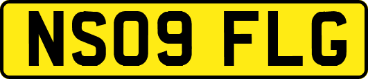 NS09FLG
