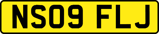 NS09FLJ