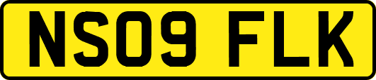 NS09FLK