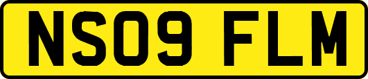 NS09FLM