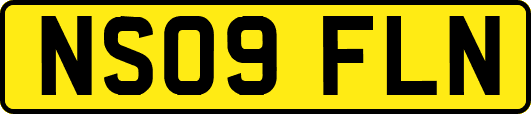 NS09FLN