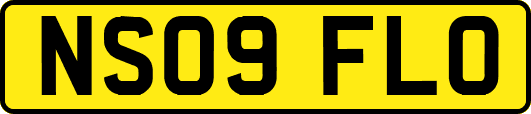 NS09FLO