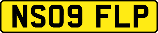 NS09FLP