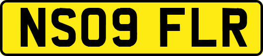 NS09FLR
