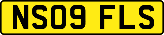NS09FLS