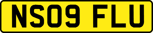 NS09FLU