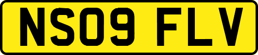 NS09FLV