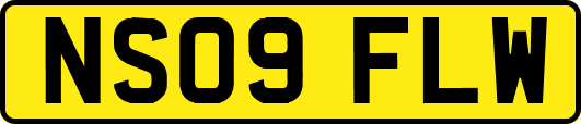 NS09FLW