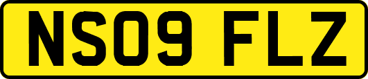 NS09FLZ