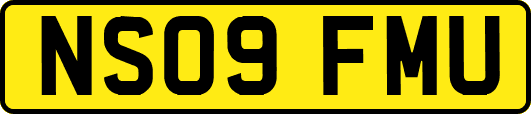 NS09FMU