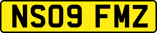 NS09FMZ