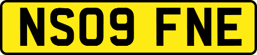NS09FNE