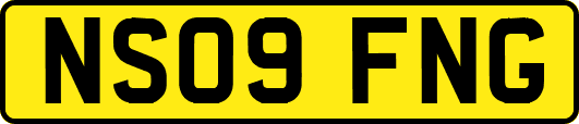 NS09FNG