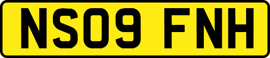 NS09FNH