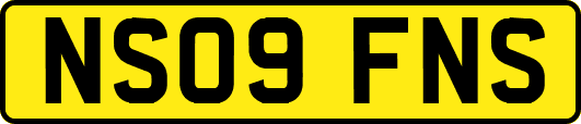 NS09FNS