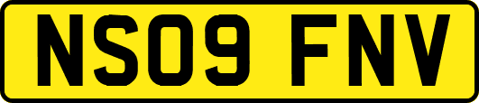 NS09FNV