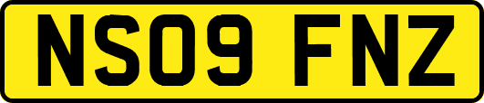 NS09FNZ