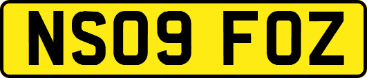 NS09FOZ