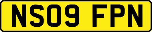 NS09FPN
