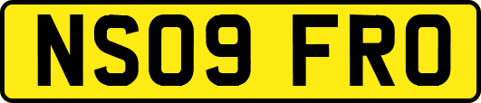 NS09FRO