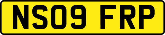 NS09FRP