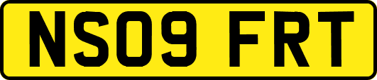 NS09FRT