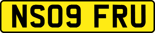 NS09FRU