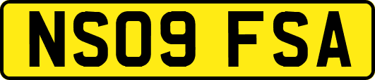 NS09FSA