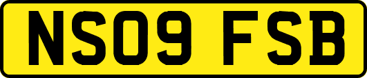 NS09FSB