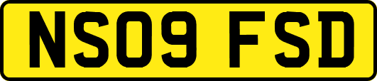 NS09FSD