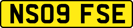 NS09FSE