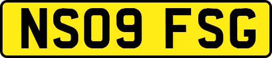 NS09FSG
