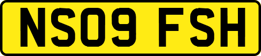 NS09FSH