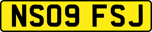 NS09FSJ