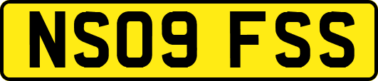 NS09FSS
