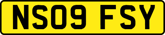 NS09FSY