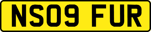 NS09FUR