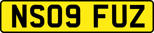 NS09FUZ