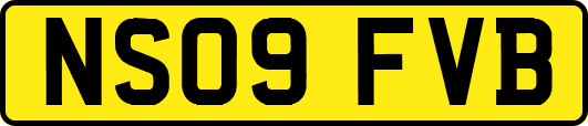 NS09FVB