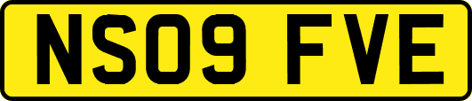 NS09FVE