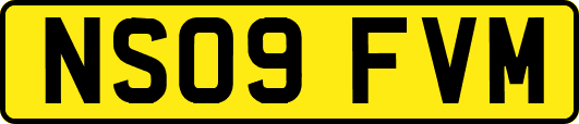 NS09FVM