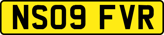 NS09FVR
