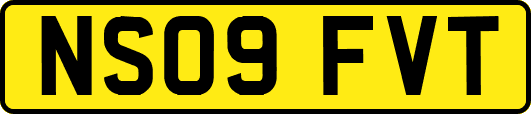 NS09FVT