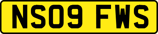 NS09FWS
