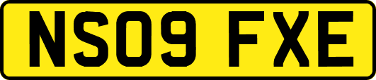 NS09FXE